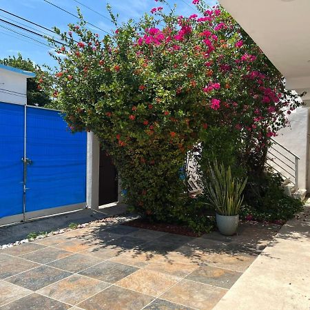Casa Nuria Appartement Playa del Carmen Buitenkant foto